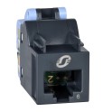 Conector RJ45 CAT6 sin apantallamiento UTP