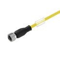 Cable para sensores y actuadores SAIL-M12BG-4-5.0UGE