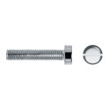 Tornillo cilíndrico DIN84 M6x40mm cincado