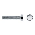 Tornillo cilíndrico DIN84 M4x25mm cincado