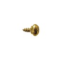 Tornillo vierteaguas PVC REHAU 5.5mm cincado