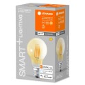 Lámpara Smart+ WiFi CL A Gold DIM 53 6W/824 E27