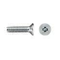 Tornillo trilobular TT65Z 4x10mm cincado lubrificado