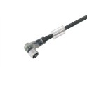 Cable para sensor SAIL-M8BW-3L1.5U