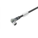 Conector SAIL-M8BW-3L5.0V