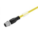 Cable SAIL-M12G-5-10UGE