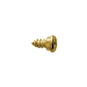 Tornillo vierteaguas PVC VEKA 4.2 bicromatado