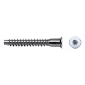 Tornillo Allen ensamblaje ENE 7x50mm cincado