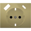 Tapa schuko IRIS USB AC, dorado odisea