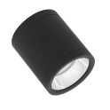 Luminaria exterior DL superficie DN 90 P 15W 830 36D IP65 negro