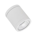 Luminaria exterior DL superficie DN 90 P 15W 830 36D IP65 blanco