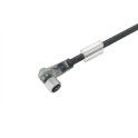 Cable para sensores y actuadores SAIL-M8BW-3L1.5V