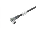 Conector SAIL-M8BW-3L2.0U