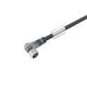 Cable para sensores y actuadores SAIL-M8BW-3L10V