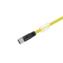 Cable SAIL-M8BG-3-10UGE para sensores y actuadores