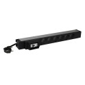 Regleta PDU 19  6 SCHUKO + MCB