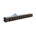 Regleta PDU 19  12 C13 con sistema de bloqueo + clavija IEC